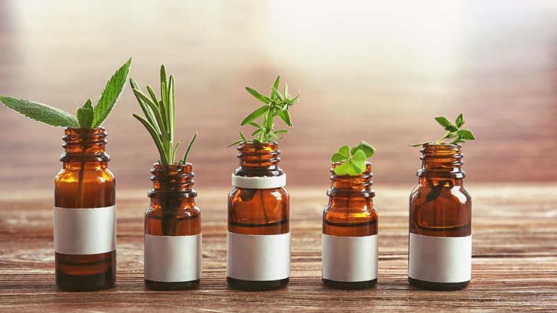 Naturopathic Medicine Detroit